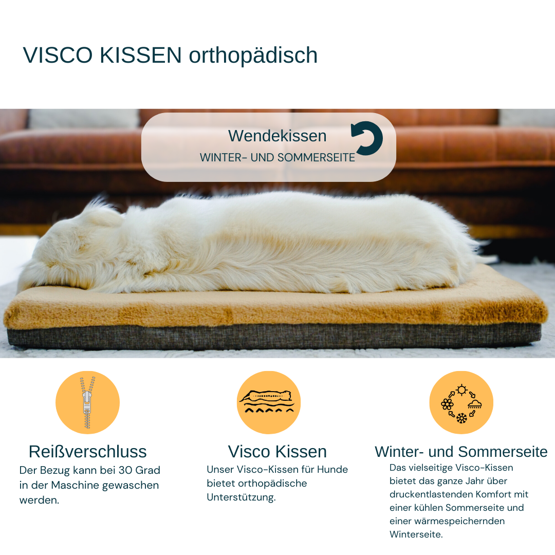 Hundebett RIO - Orthopädisch