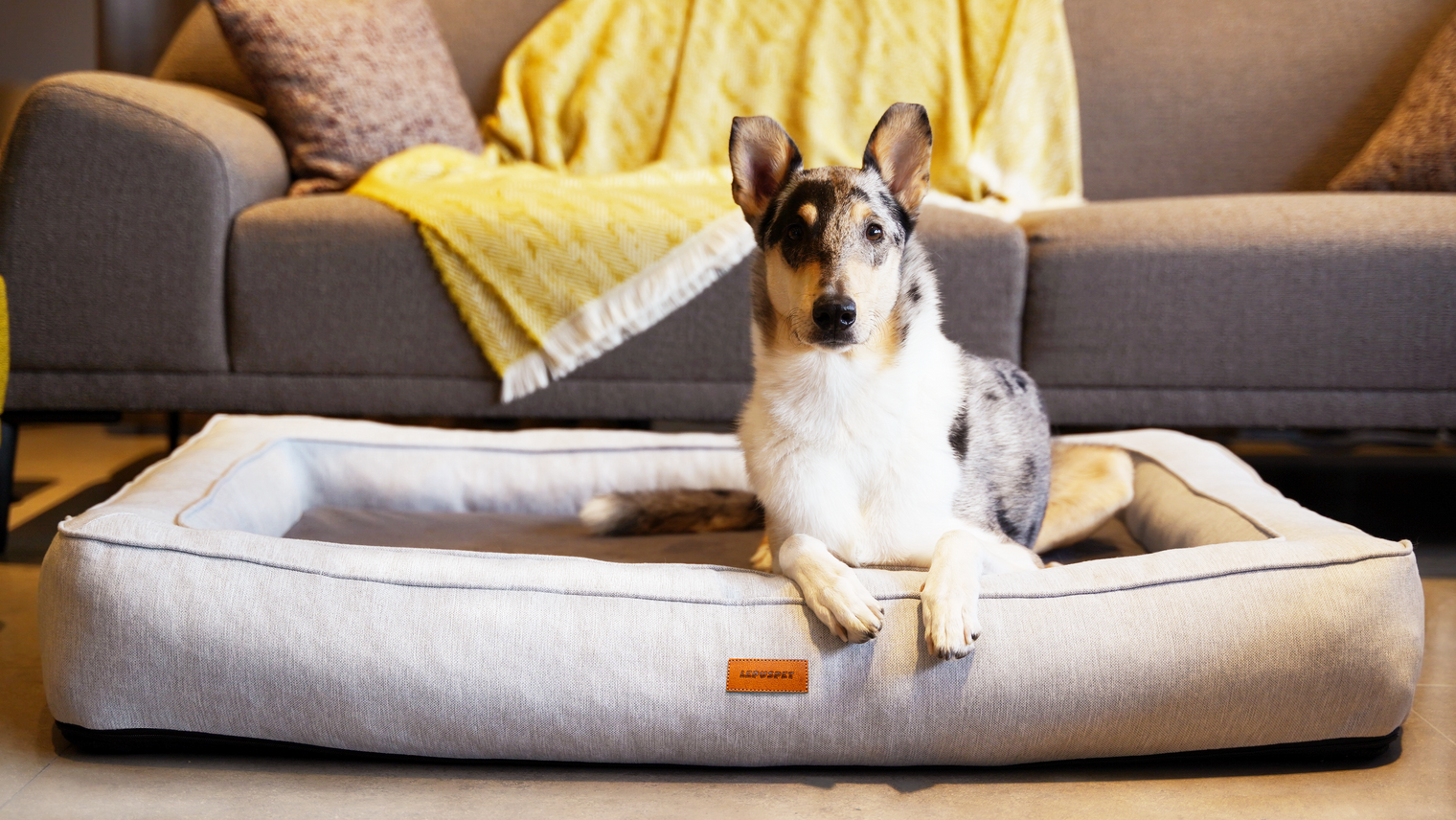 Memory Foam - Was ist das eigentlich und wie kann es unseren Hunden helfen?